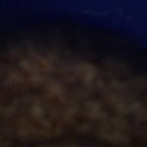 Meet your Posher, Jamya